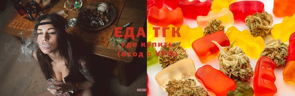 тгк Верея