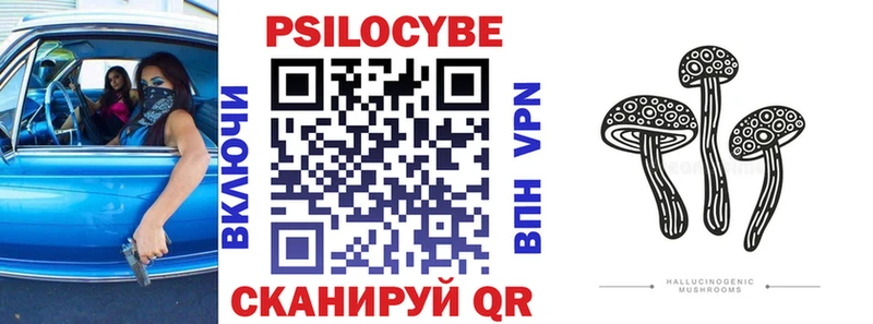 Псилоцибиновые грибы Psilocybe  Копейск 